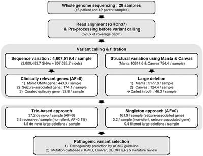 Whole genomic approach in mutation discovery of infantile spasms patients